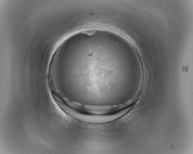 X0000091911536200709051408