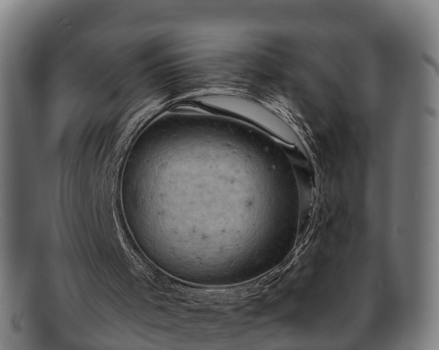 X0000091910001200709121526