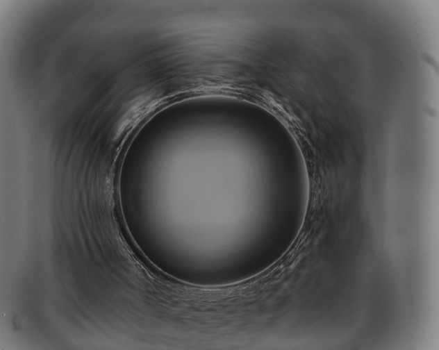 X0000091910002200709121526