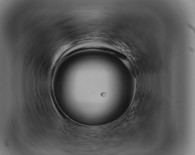 X0000091910003200709121526