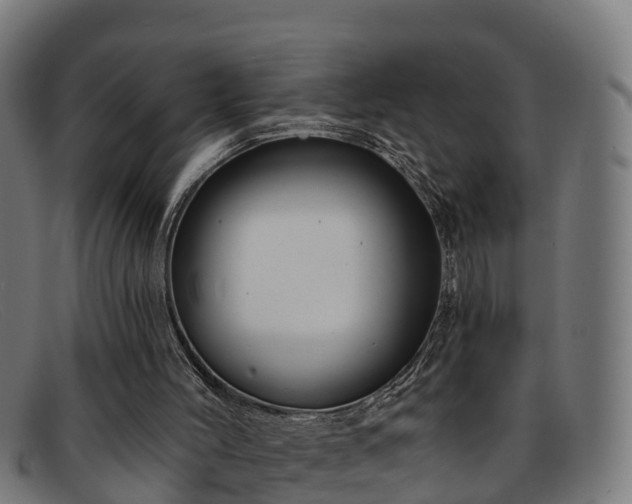 X0000091910004200709121526