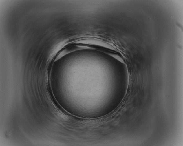 X0000091910005200709121526