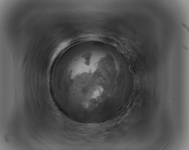 X0000091910006200709121526