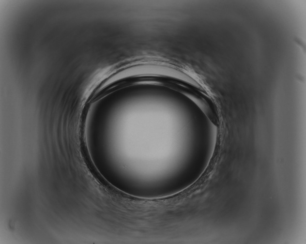 X0000091910007200709121526