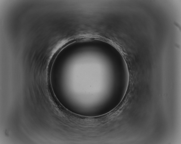 X0000091910008200709121526