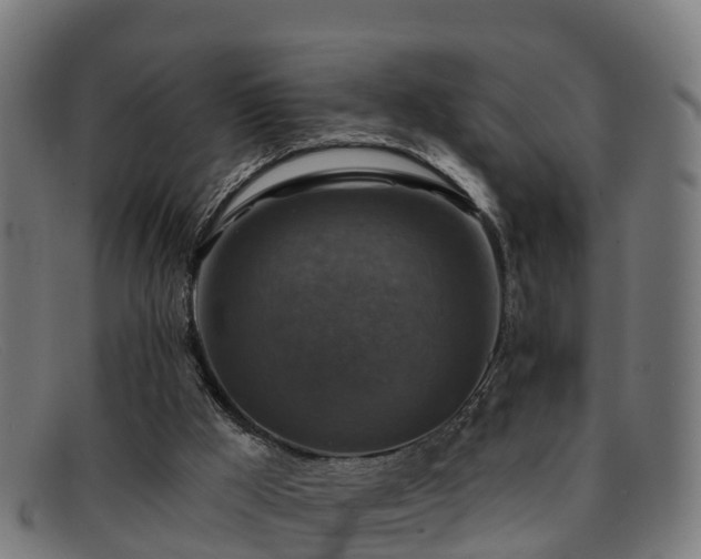 X0000091910009200709121526