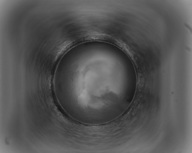 X0000091910010200709121526