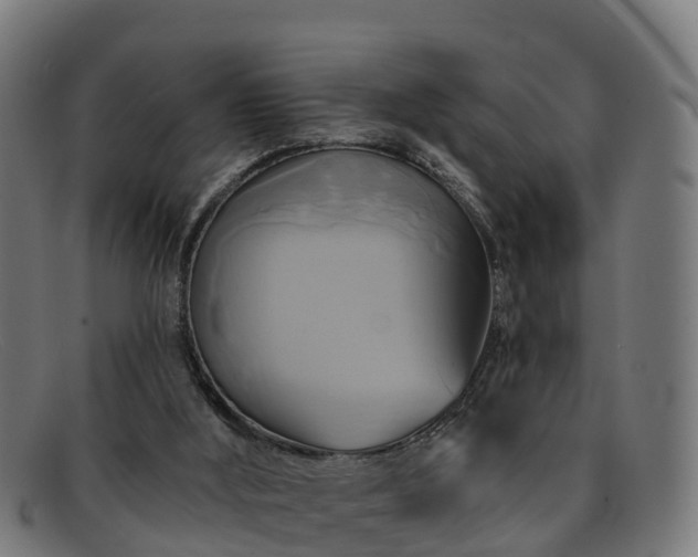 X0000091910012200709121526