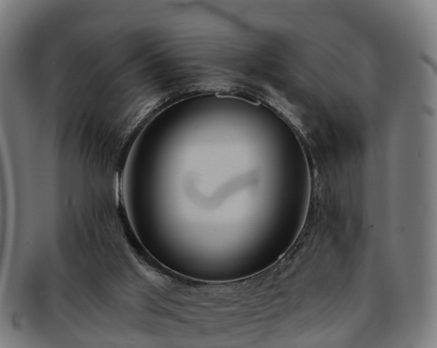 X0000091910013200709121526