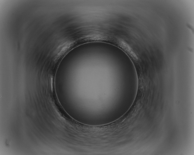 X0000091910014200709121526