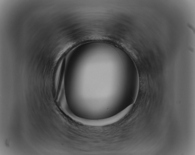 X0000091910015200709121526