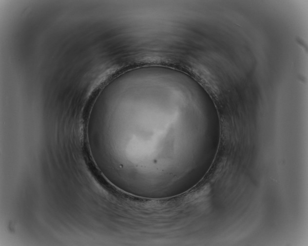 X0000091910016200709121526