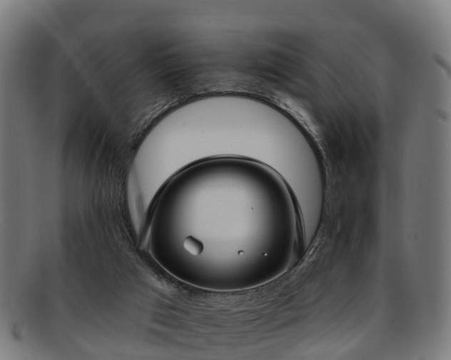 X0000091910017200709121526