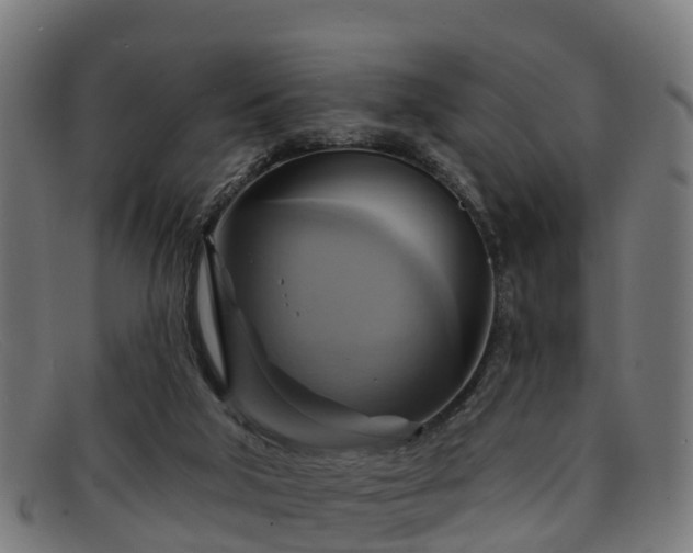 X0000091910018200709121526