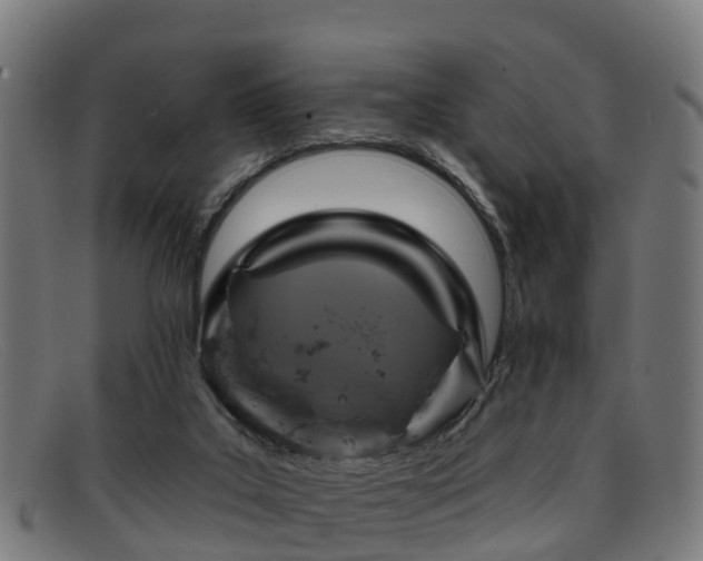 X0000091910019200709121526