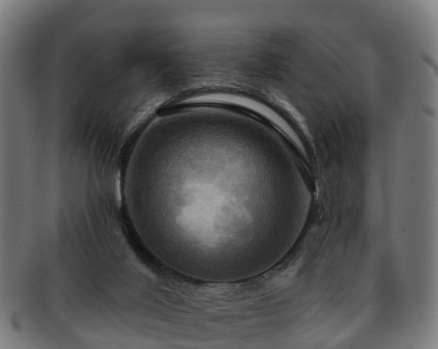 X0000091910020200709121526