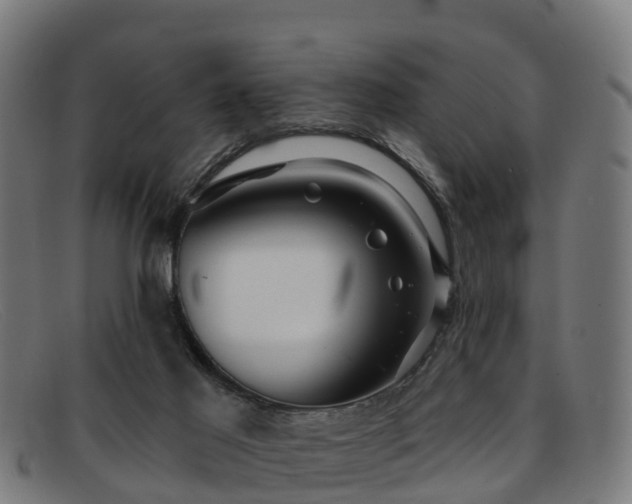 X0000091910021200709121526