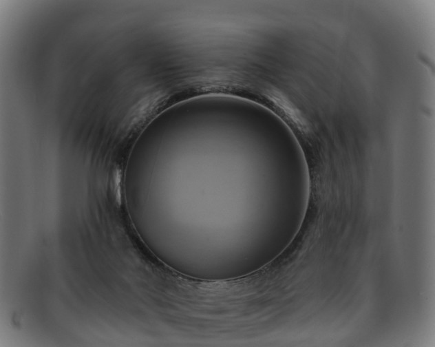 X0000091910022200709121526