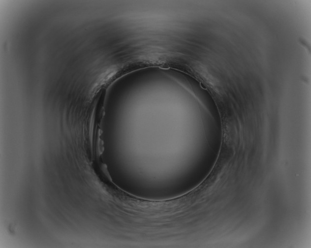 X0000091910023200709121526