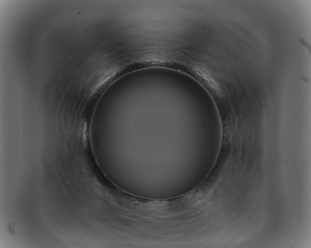 X0000091910024200709121526