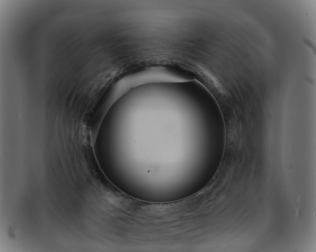 X0000091910025200709121526