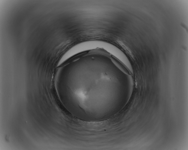 X0000091910026200709121526