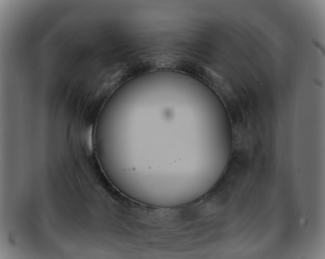 X0000091910028200709121526