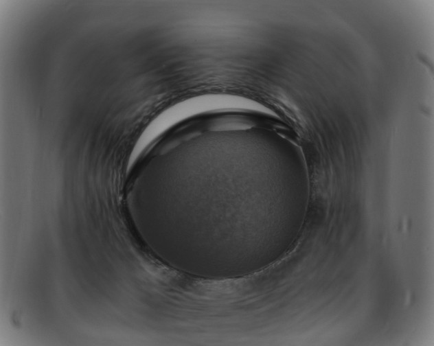 X0000091910029200709121526