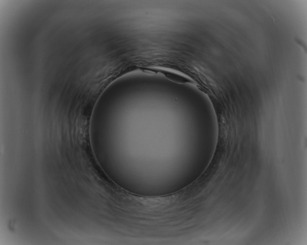 X0000091910030200709121526