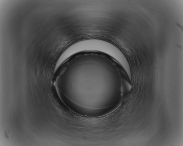 X0000091910031200709121526