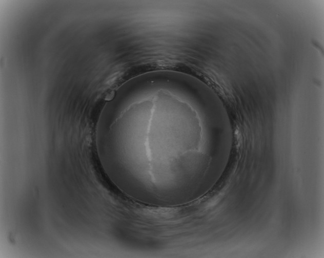 X0000091910032200709121526