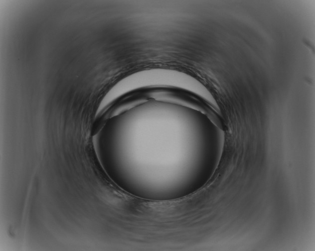 X0000091910033200709121526