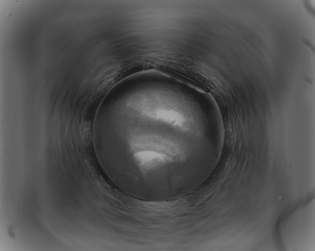 X0000091910034200709121526