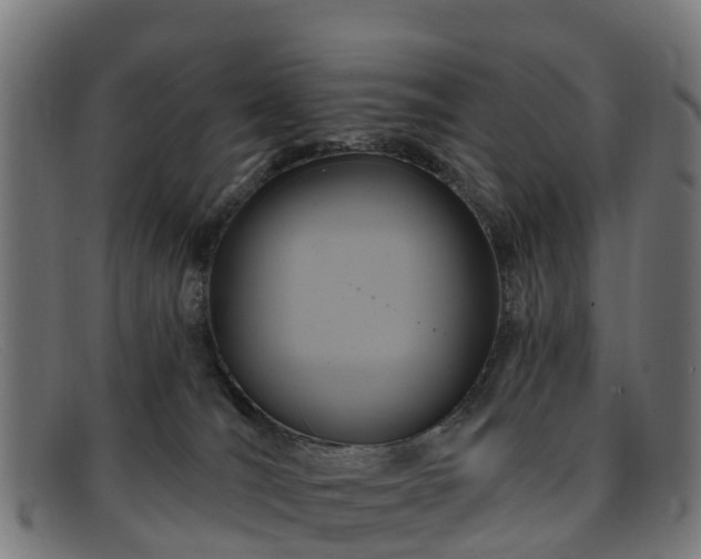 X0000091910036200709121526