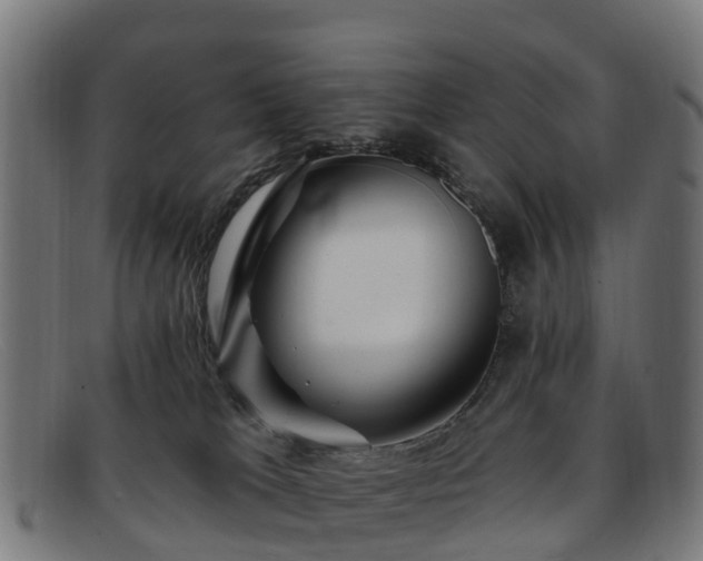 X0000091910037200709121526