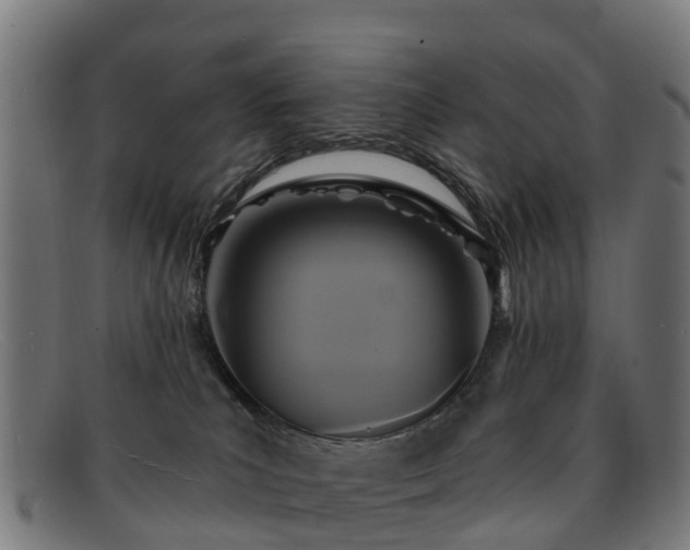 X0000091910039200709121526