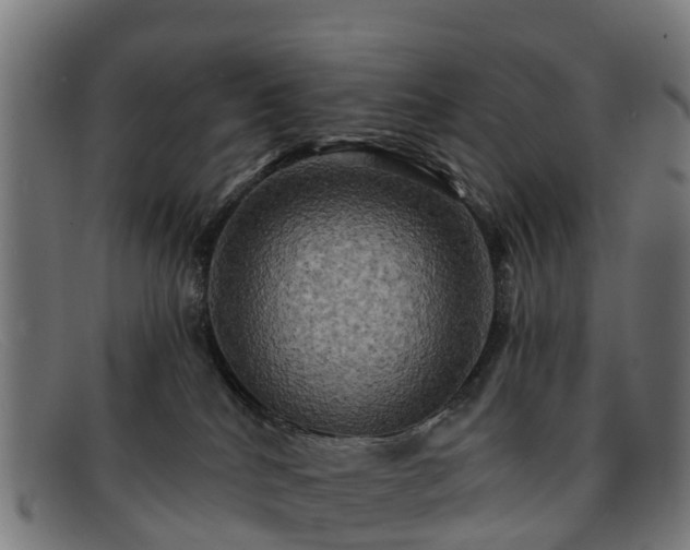 X0000091910040200709121526