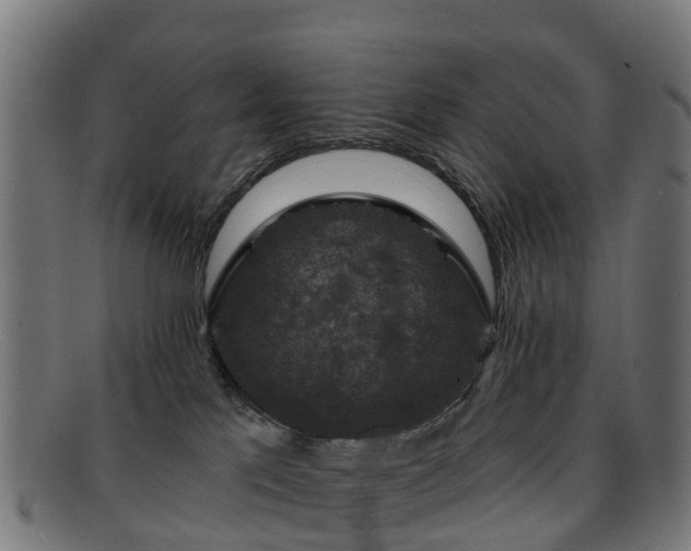 X0000091910041200709121526