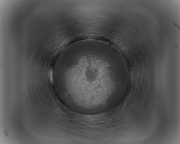 X0000091910042200709121526