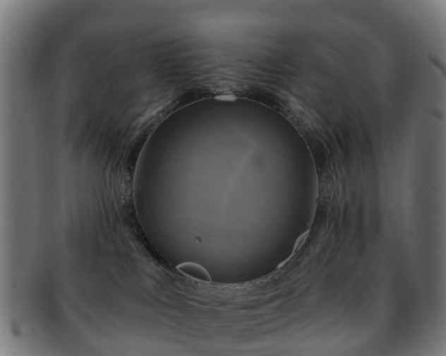 X0000091910043200709121526