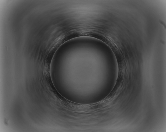 X0000091910044200709121525