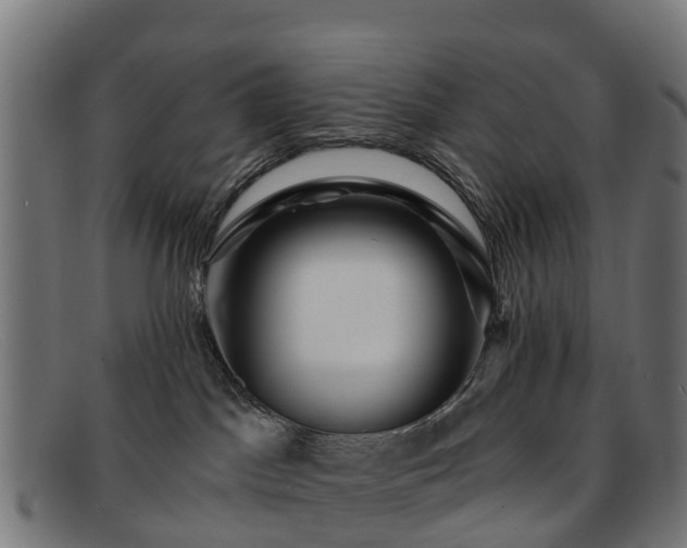 X0000091910045200709121525