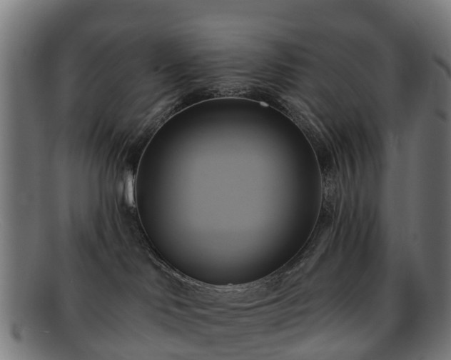 X0000091910046200709121525