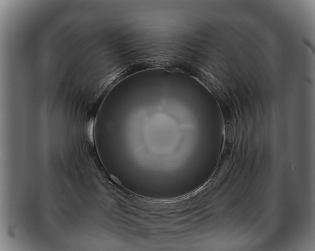 X0000091910047200709121525