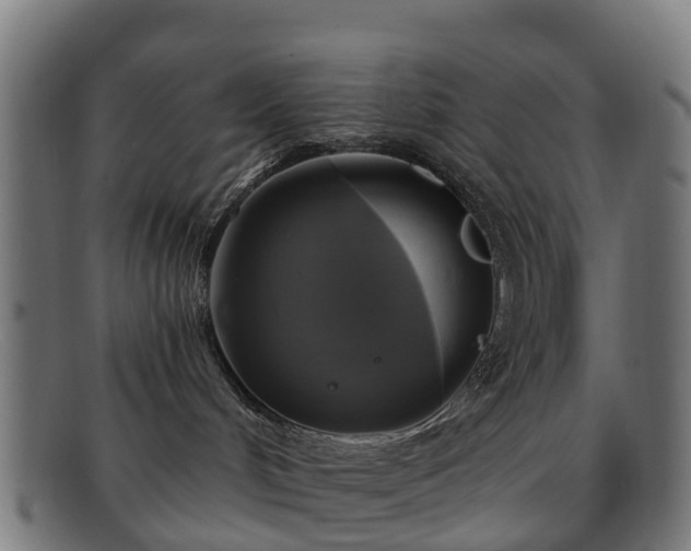 X0000091910048200709121525