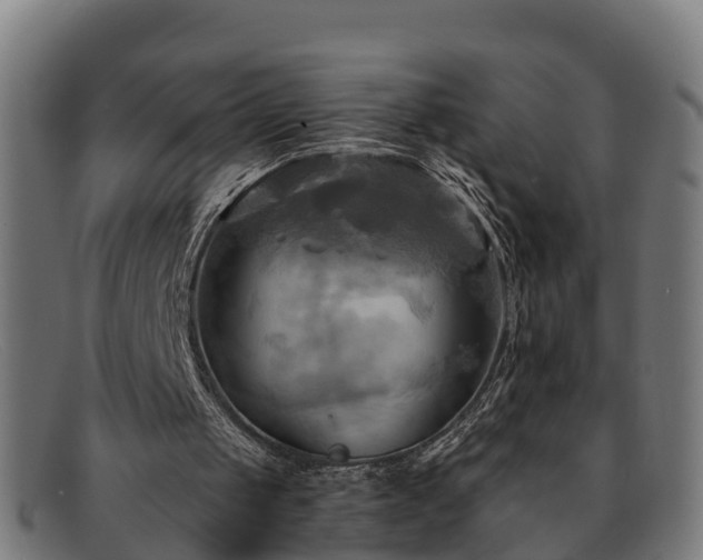 X0000091910049200709121525