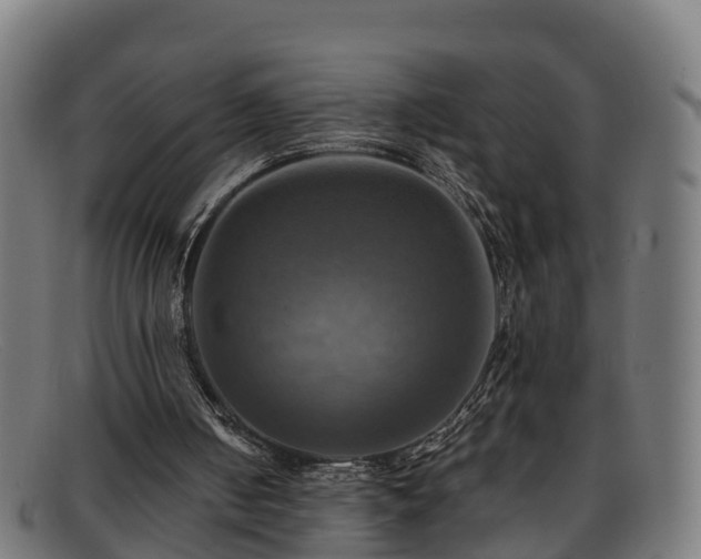 X0000091910050200709121525