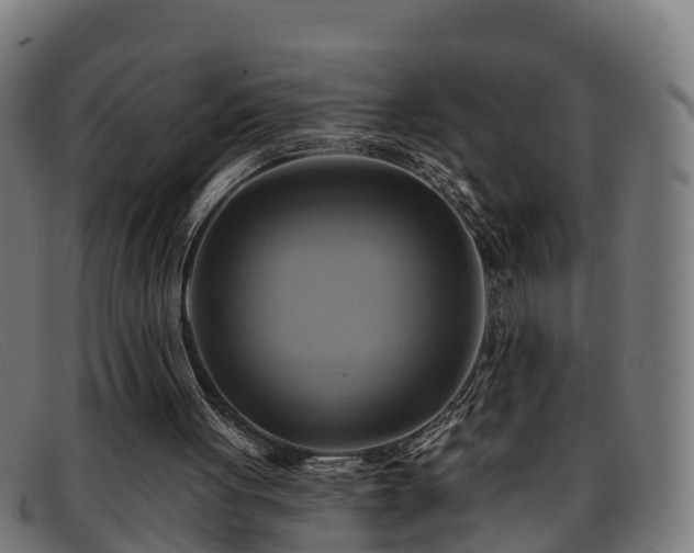 X0000091910051200709121525