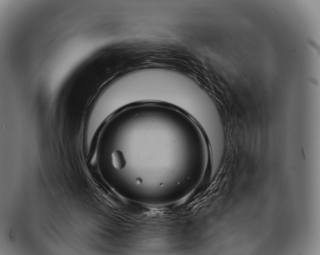 X0000091910052200709121525