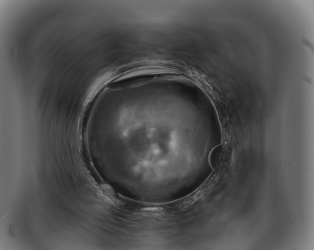 X0000091910053200709121525